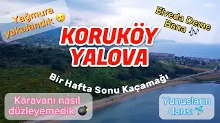 Yalova Koruköy Karavan Kampı / Yunuslarla Karşılaştık / Arkadaşlarla Kamp ⛺️ [4K]