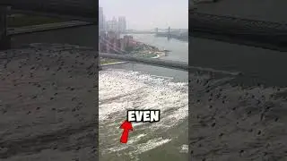 Annual NYC 🏙️ Jet Ski Invasion (TT/@thejessmith)