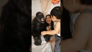 Горилла такая забавная #милая #taggorilla #горилла #зоопарк #дисней #животное #обезьяна #мило #ми...