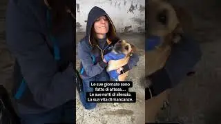 🆘🇮🇹🙏❤️  338-3261206