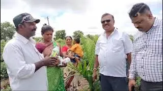 Manju s aralkati grdd modicare active max zyme active 80 coconut tree chilly spray motivation  ##