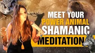 Meet Your Power Animal. Shamanic Meditation