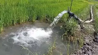 SUBMERSIBLE WATER PUMP | IRRIGATION PUMP | WATER DAM | WATER PUMPING SYSTEM #trending #viral #ford