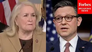 'It Is Just Shameful': Sylvia Garcia Tears Into Speaker Johnson Over Grijalva's Delayed Swearing-In