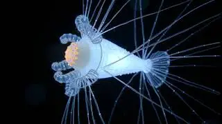 5 Deep Sea Monsters You WON'T BELIEVE Exist! 🤯 (Dr. Aris Thorne's Encounter)