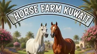 Kuwait vlog punjab is live horse farm kuwait