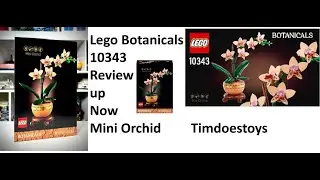 The Botanical Collection          #10343     Mini Orchid   Review up Now