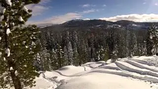 SHRED THE GNAR