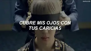 BTS - Blood Sweat & Tears [MV] (Traducida al Espa&ntilde;ol)