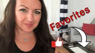 Absolutely must have top 5 young living products