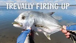 Trevally smashing the Hop and Pause Zman Slim Swimz
