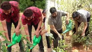 Chiranjeevi,Pawan Kalyan and Mahesh Babu Participated in Haritha Haram Challenge