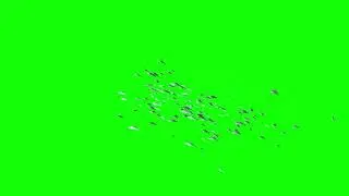 Huge Animated Fish School Green Screen Background