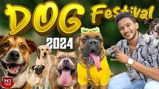 කොළඹ සුපිරිම International Dog Festival එක 🐶 | Dog Fashion Show |  @PetTalk @WolfyVlogs #saniruvlogs