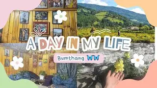 A day in my life in Bumthang ❤️#hometown #youtube #fypシ #villagelife 