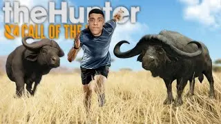A CAÇA AO BÚFALO LENDÁRIO, OS BÚFALOS NÃO GOSTAM DE MIM! - The Hunter Call Of The Wild