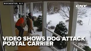 After dog attack, former postal worker wins fight for greater protections, consequences
