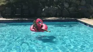 Fun Summertime Pool Floats