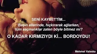 Taylor Swift - Maroon (Türkçe Çeviri)