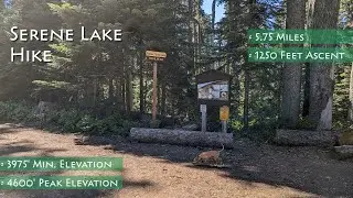Serene Lake Hike Guide | Estacada, Oregon