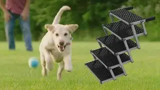 SEEZSSA Dog Car Ramp，NO DOG WON'T BE AFRAID OF FALLING!