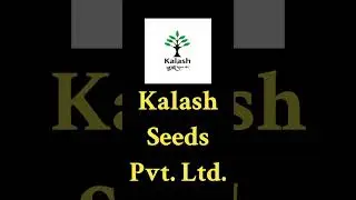 TOP 10 SEED COMPANIES IN INDIA #india #seed #companies