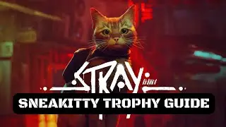 Stray Sneakitty Trophy Guide