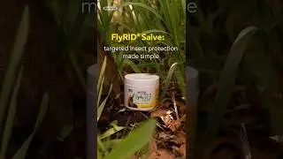 FlyRID&reg; Salve: Safe, Simple, and Effective Pest Protection