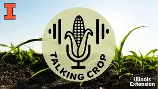 Practical Advice on Conservation Implementation