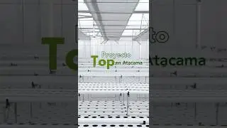 Sistema hidrop&oacute;nico para cultivar en el desierto