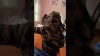 Gagged you rele fana gakqtr de plus