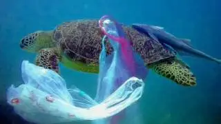 PSA Ocean Pollution School Project