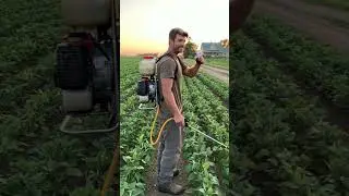 Petrol sprayer machine for agriculture |GreenAgrix