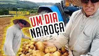 VELOSTER EM UM DIA NA ROÇA