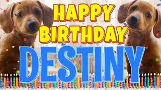 Happy Birthday Destiny! ( Funny Talking Dogs ) What Is Free On My Birthday