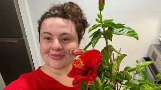 ASMR My Plants & Gentle Whispers 🌱