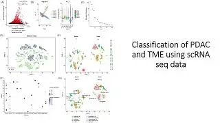 Characterization of PDAC tissue and its comparison with healthy tissue using sc-RNA seq #Code: 635