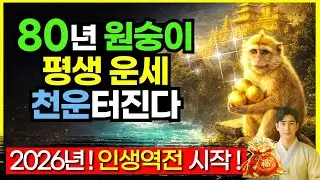 [1980년생 원숭이띠 운세] ✨ 2026년 병오년 신년운세 총정리 🔮80년생 경신생 월별운세·대운·재물운·건강운·개운법 완벽 해석