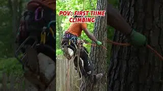 Tree Climbing 101: Gear & safety