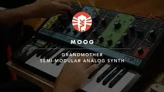 Moog Grandmother | Semi-Modular Synthesizer | Vintage King