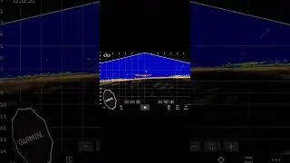 livescope #lvs34 imagine d un gros silure qui se prom&egrave;ne tranquillement 😅#garminmarine #garmin