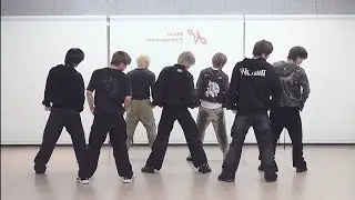 [NouerA] n (Number Of Cases)|Dance Practice Mirror