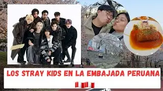 Me encontr&eacute; con STRAY KIDS en la EMBAJADA de PER&Uacute; 🇵🇪🤯 + renovaci&oacute;n de mi visa |cherry blossoms 🌸✨