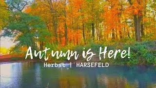 HARSEFELD || AUTUMN || HERBST