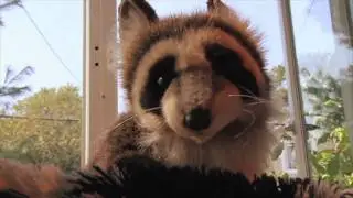 GHETTO ANIMALS: EPS.5 