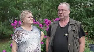 H&auml;t&auml;set - Viksberg