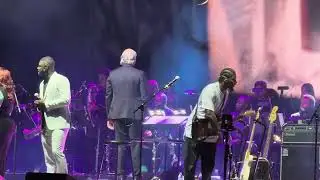 Symphonic blues experience in action