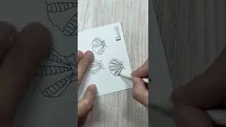 #zentangle#zentangleart #禪繞圖樣 #禪繞畫  #纏繞畫#專注力#睡前放鬆#動態靜心#禪繞教學#禪繞入門#教學 #art#扇貝#Jacobm