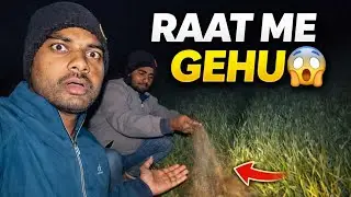 Raat Ke Andhere Me Gehu Patban 😱 | Dosto Ke Sath Real Farming Vlog 🌾