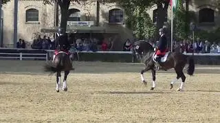 Pas de Deux - Hengstparade NRW-Landgestüt Warendorf 2019